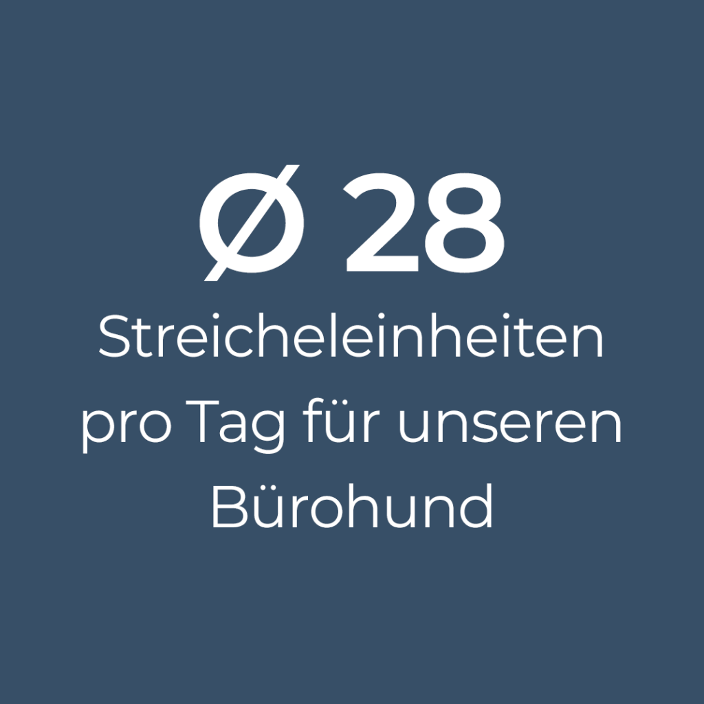 durchschnittlich 28 Streicheleinheiten pro Tag für unseren Bürohund